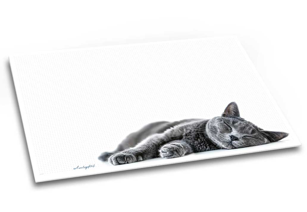 Ein niedliches Katzen-Motiv für Kinder und Erwachsene