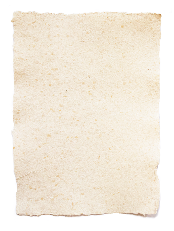 schreibgefuehl-buettenpapier-Vogelei-papeterie-handgeschoepft-einzeln