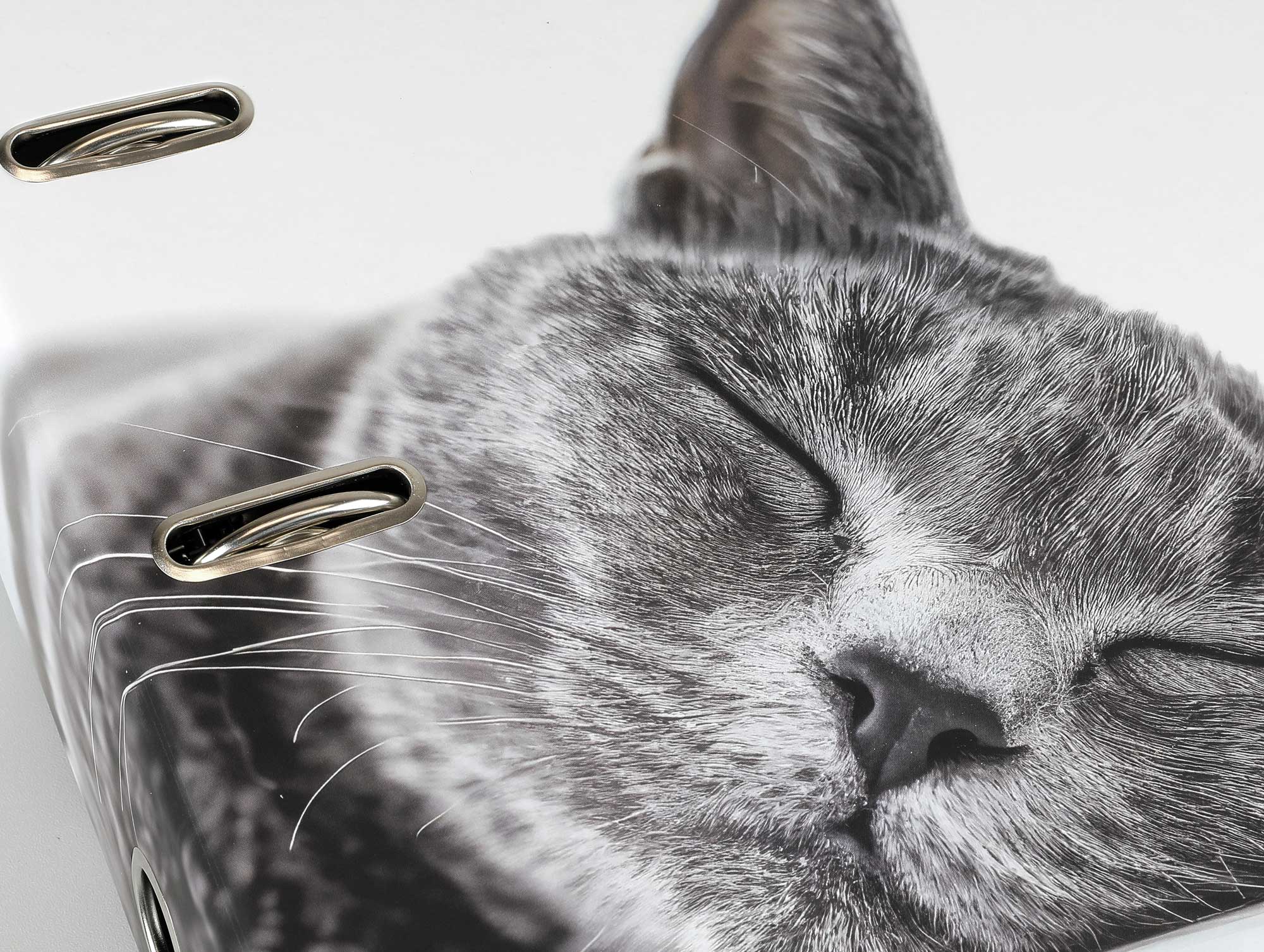  Die Detailtiefe macht dieses Katzenmotiv zu etwas ganz Besonderem. 