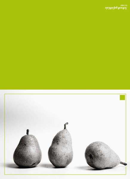 Grußkarte "Drei Birnen - Vitamin" | Klappkarte, Wandbild Küche | Detailsansicht